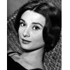 Audrey Hepburn
