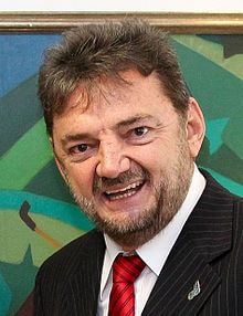 Wilson Martins