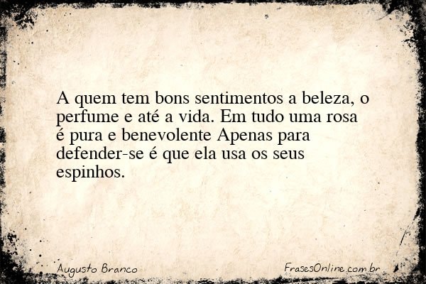 Frase de Augusto Branco