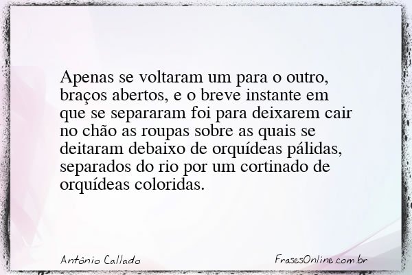 Frase de Antônio Callado