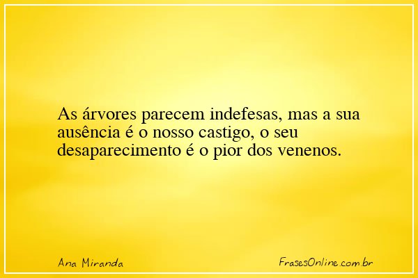 Frase de Ana Miranda