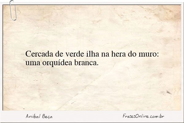 Frase de Anibal Beça