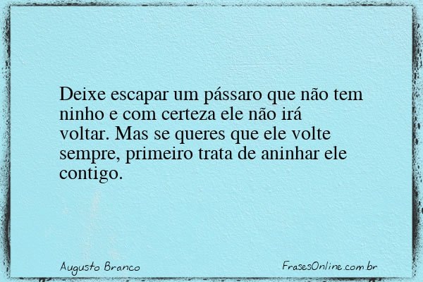 Frase de Augusto Branco
