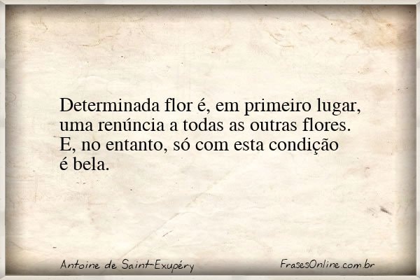 Frase de Antoine de Saint-Exupéry