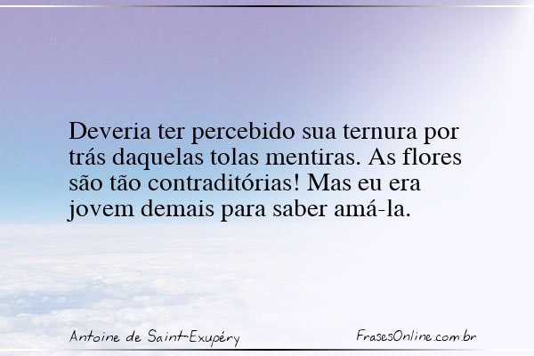 Frase de Antoine de Saint-Exupéry