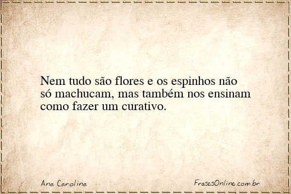 Frase de Ana Carolina