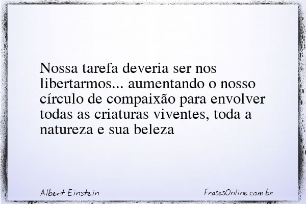 Frase de Albert Einstein