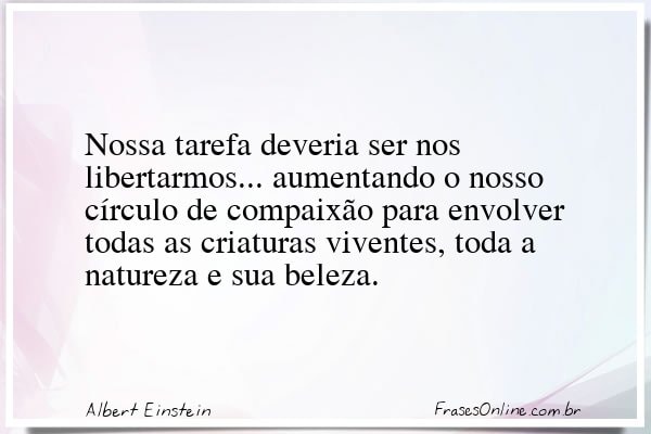 Frase de Albert Einstein