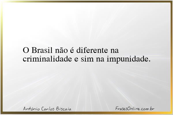 Frase de Antônio Carlos Biscaia