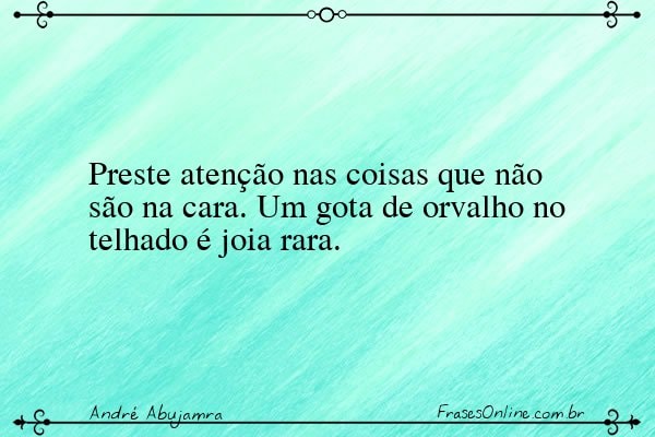 Frase de André Abujamra