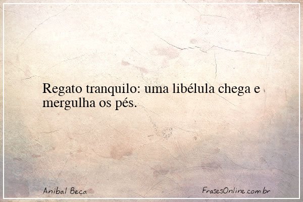 Frase de Anibal Beça