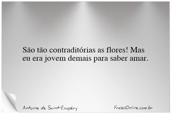 Frase de Antoine de Saint-Exupéry