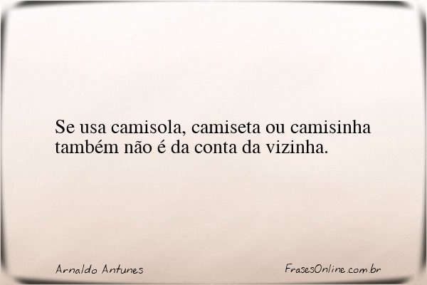Frase de Arnaldo Antunes