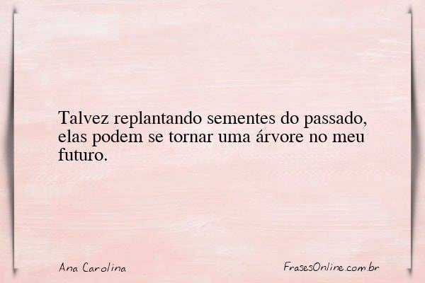 Frase de Ana Carolina