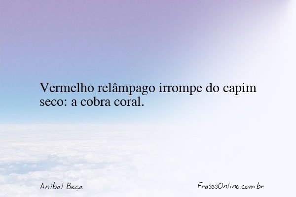Frase de Anibal Beça