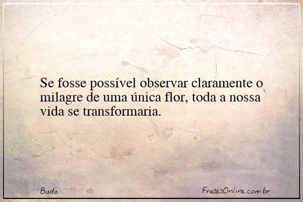 Frase de Buda