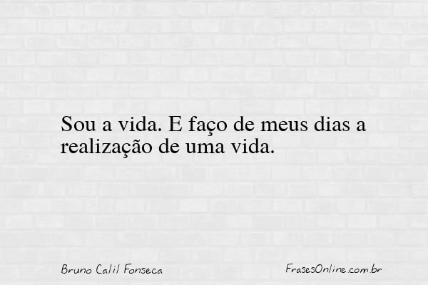 Frase de Bruno Calil Fonseca