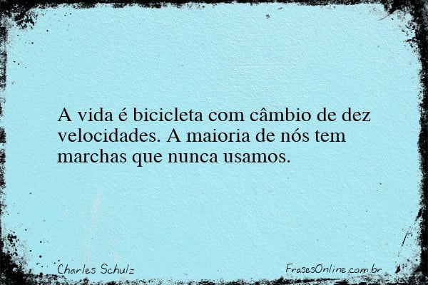 Frase de Charles Schulz