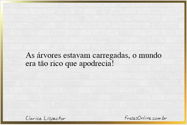Frase de Clarice Lispector