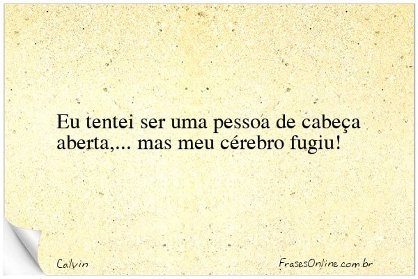 Frase de Calvin