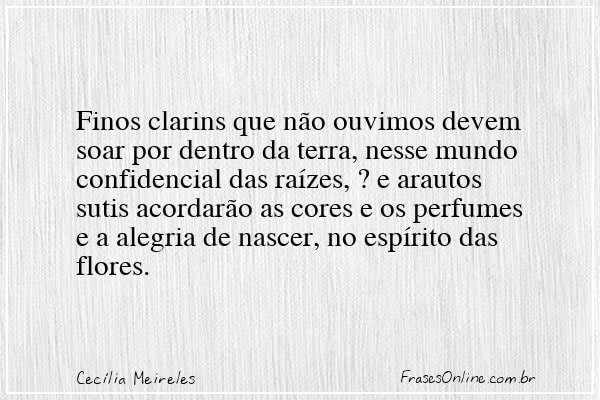Frase de Cecília Meireles