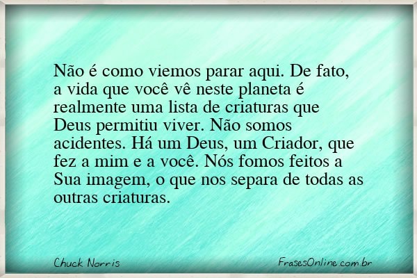 Frase de Chuck Norris