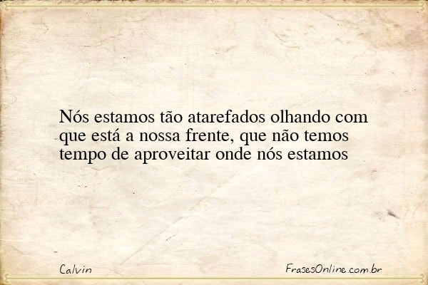 Frase de Calvin