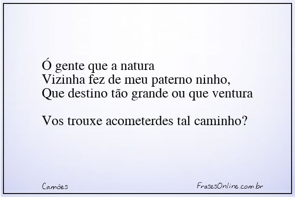 Frase de Camões
