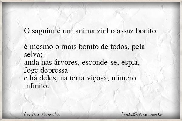 Frase de Cecília Meireles