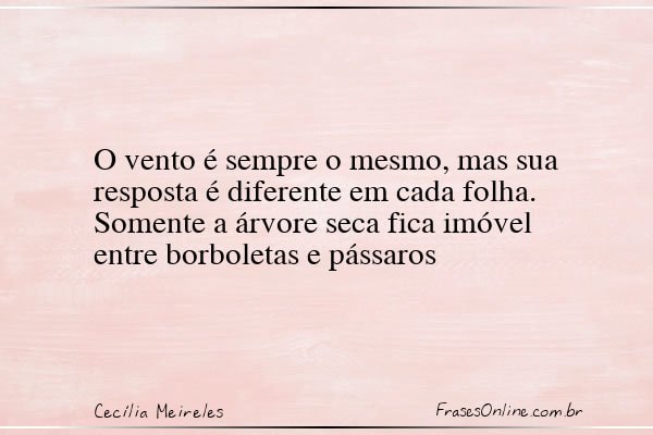 Frase de Cecília Meireles