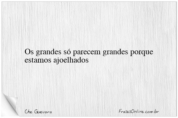Frase de Che Guevara