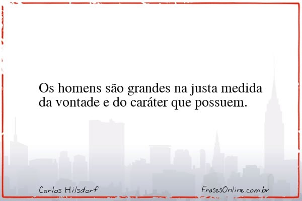 Frase de Carlos Hilsdorf