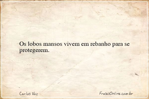 Frase de Carlos Vaz