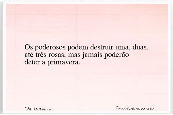 Frase de Che Guevara