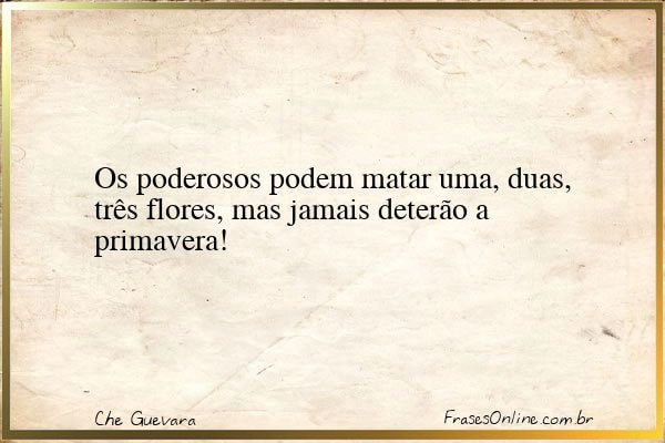 Frase de Che Guevara