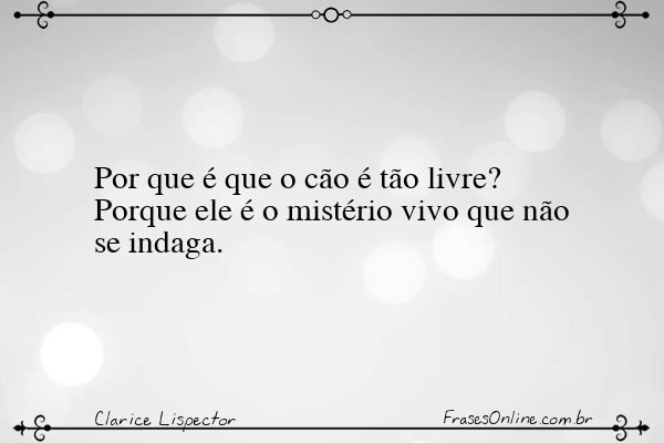 Frase de Clarice Lispector