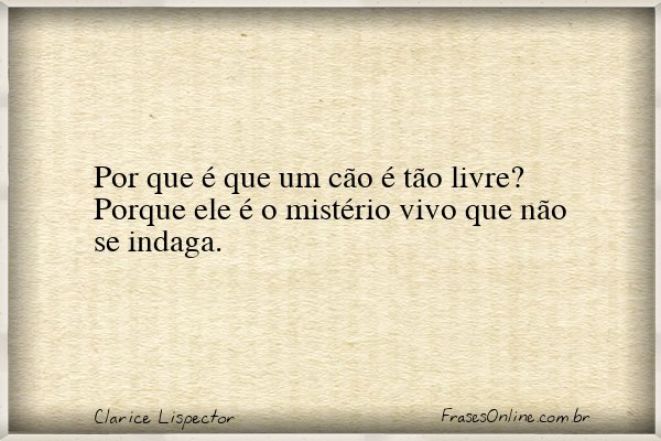 Frase de Clarice Lispector