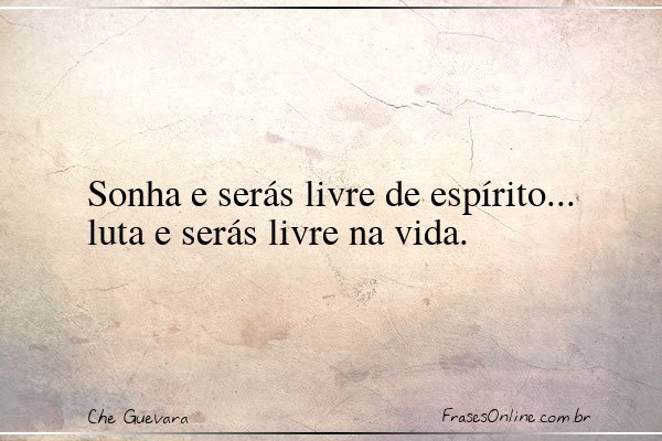 Frase de Che Guevara