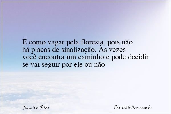 Frase de Damien Rice
