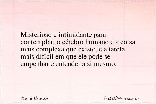 Frase de David Noonan