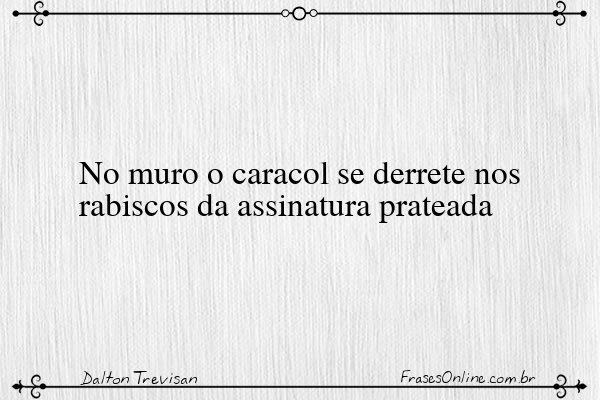Frase de Dalton Trevisan
