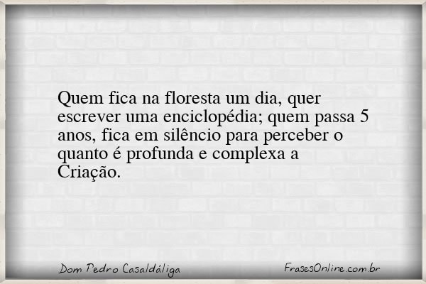 Frase de Dom Pedro Casaldáliga