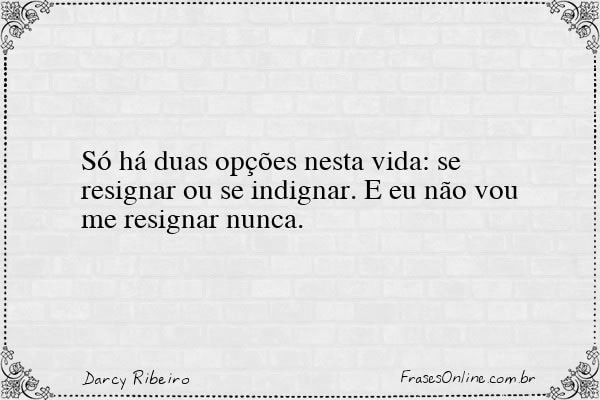 Frase de Darcy Ribeiro