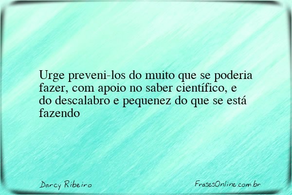 Frase de Darcy Ribeiro