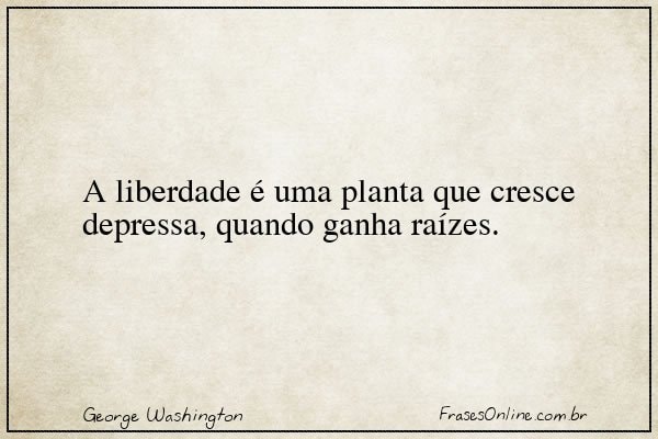 Frase de George Washington