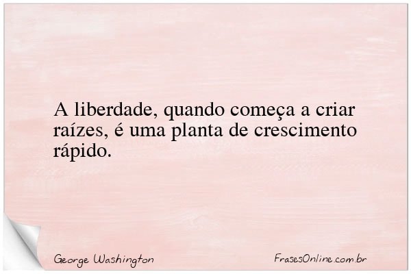 Frase de George Washington