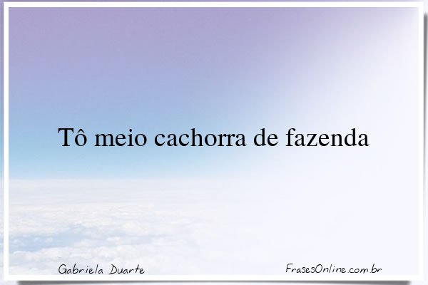 Frase de Gabriela Duarte