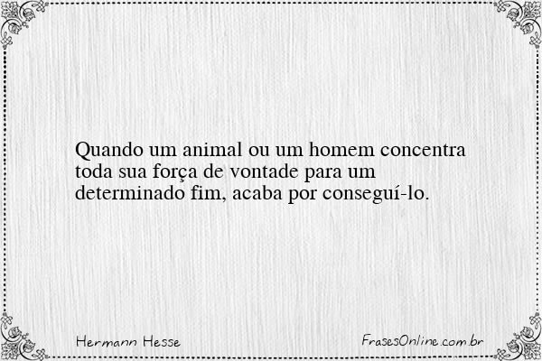 Frase de Hermann Hesse