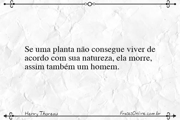 Frase de Henry Thoreau