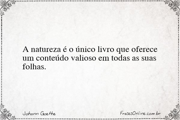 Frase de Johann Goethe